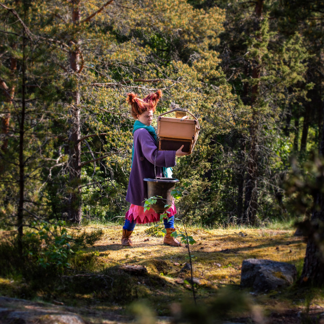 The Witch in the woods